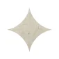 fired_earth_blends_grigio_star_plank2