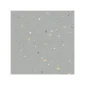 fired_earth_confetti_blue_plank2