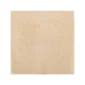fired_earth_cotto_blanc_plank1