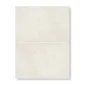 fired_earth_dorzano_tumbled_406mm_x_610mm_plank1