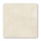 fired_earth_ezra__tumbled_300mm_x_300mm