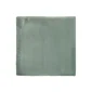 fired_earth_jaipur_dartmouth_green_plank1