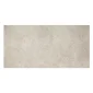 fired_earth_jerusalem_silver_600mm_x_300mm_porcelain_plank1