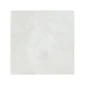 fired_earth_kelmscott_antique_white_plank1