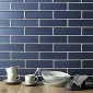 fired_earth_kingfisher_blue