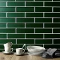 fired_earth_kingfisher_green
