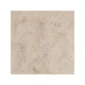 fired_earth_lux_beige_600mm_x_600mm_plank1