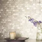 fired_earth_mother_of_pearl_white_rectangle