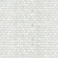 fired_earth_mother_of_pearl_white_rectangle_plank1