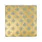 fired_earth_neisha_crosland_atlas_star_anise_sahara