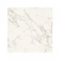 fired_earth_milos_white_800mm_x_800mm_plank1