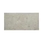 fired_earth_pebble_beach_taupe_600mm_x_1200_plank2