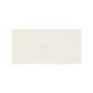fired_earth_piazza_bone_grey_600mm_x_1200mm_plank1