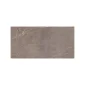 fired_earth_rimini_taupe_600mm_x_1200mm_plank2