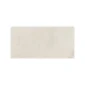 fired_earth_shale_light_white_300mm_x_600mm_plank2