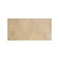 fired_earth_tivoli_beige_300mm_x_600mm_plank1