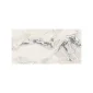fired_earth_voltera_babila_gloss_plank1
