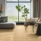 Karndean-Knight-Tile-Gluedown-Wells-Acacia-SM