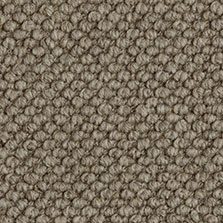 Westex Butterwick Koala