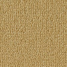 Westex FIRED EARTH Wiske Velvet Goldfinch