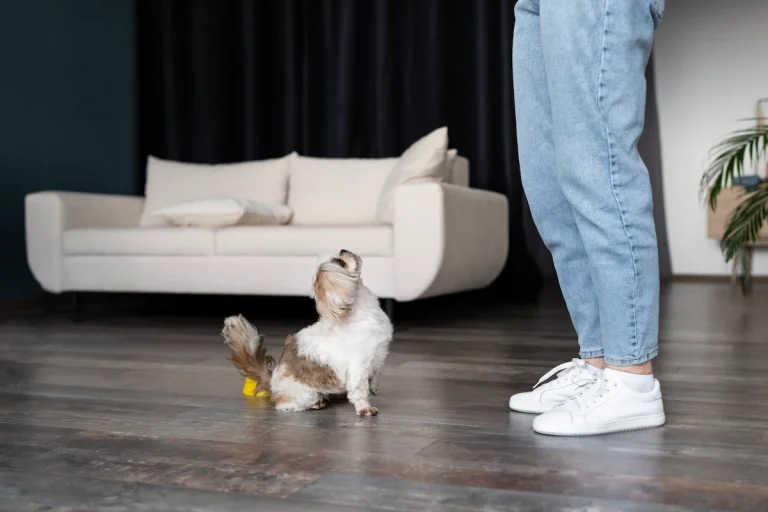 Best Pet-Friendly Flooring