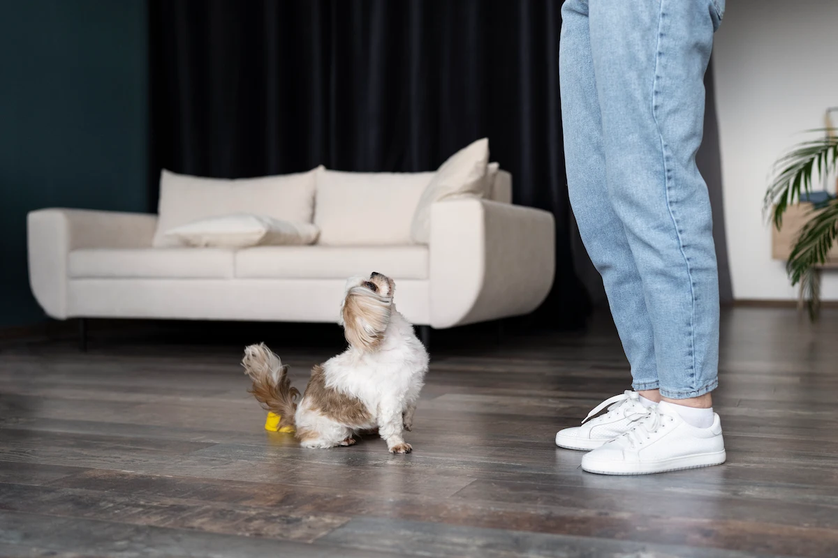 Best Pet-Friendly Flooring