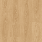FG002 3