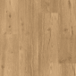 FG039 4